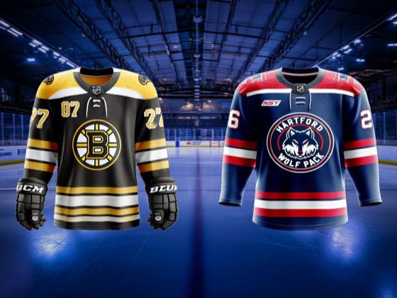 Hartford Wolf Pack vs. Providence Bruins